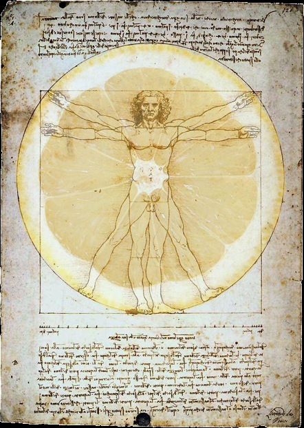 Vitruvian Lemon
