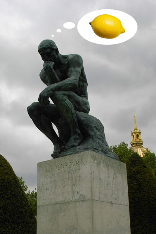 The Citric Thinker
